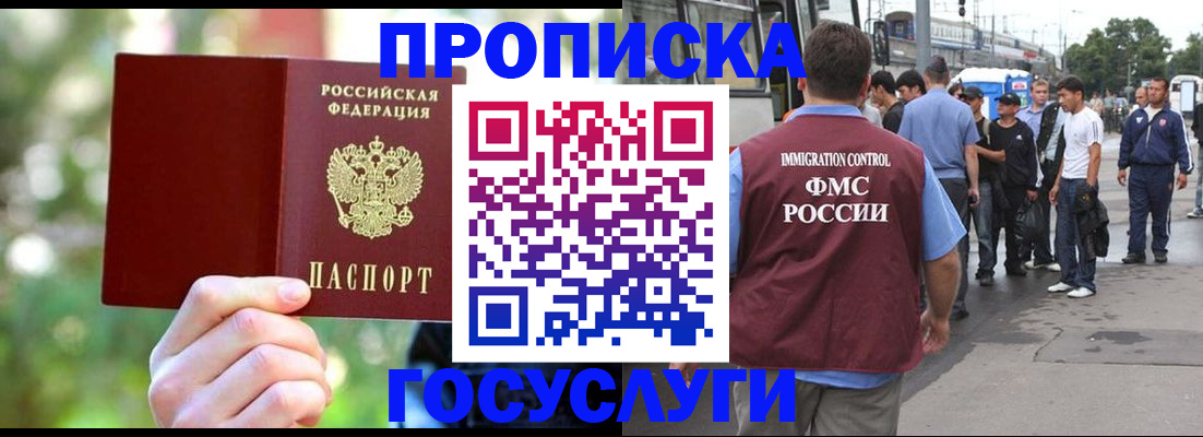 прописка поиск в Купино